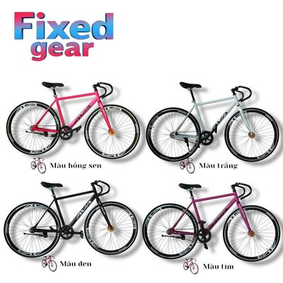 CÔNG TY TNHH SX TM DV  BMX