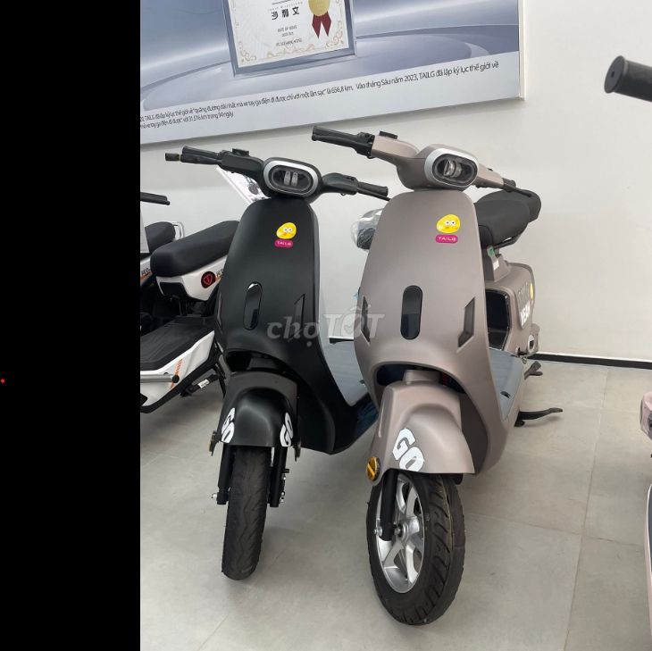 Xe đạp điện TaiLG GR55 5 bình công suất hơn 500W. Mua bán Xe điện tại Huyện Nhà Bè Tp Hồ Chí Minh được đăng bởi Đồng Đức hình 3