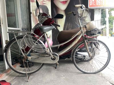 xe đạp Asma khung inox