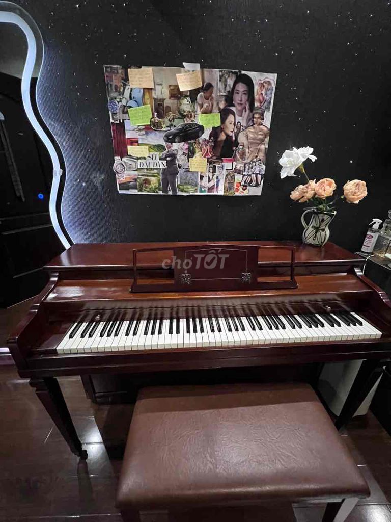 Piano Cơ WINNER của Mỹ - Kiểu đẹp, âm thanh hay