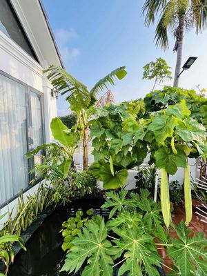 Chính chủ bán nhà Chợ Đêm Hà Tiên. Mua bán nhà ở tại Thành phố Hà Tiên Kiên Giang được đăng bởi Toàn