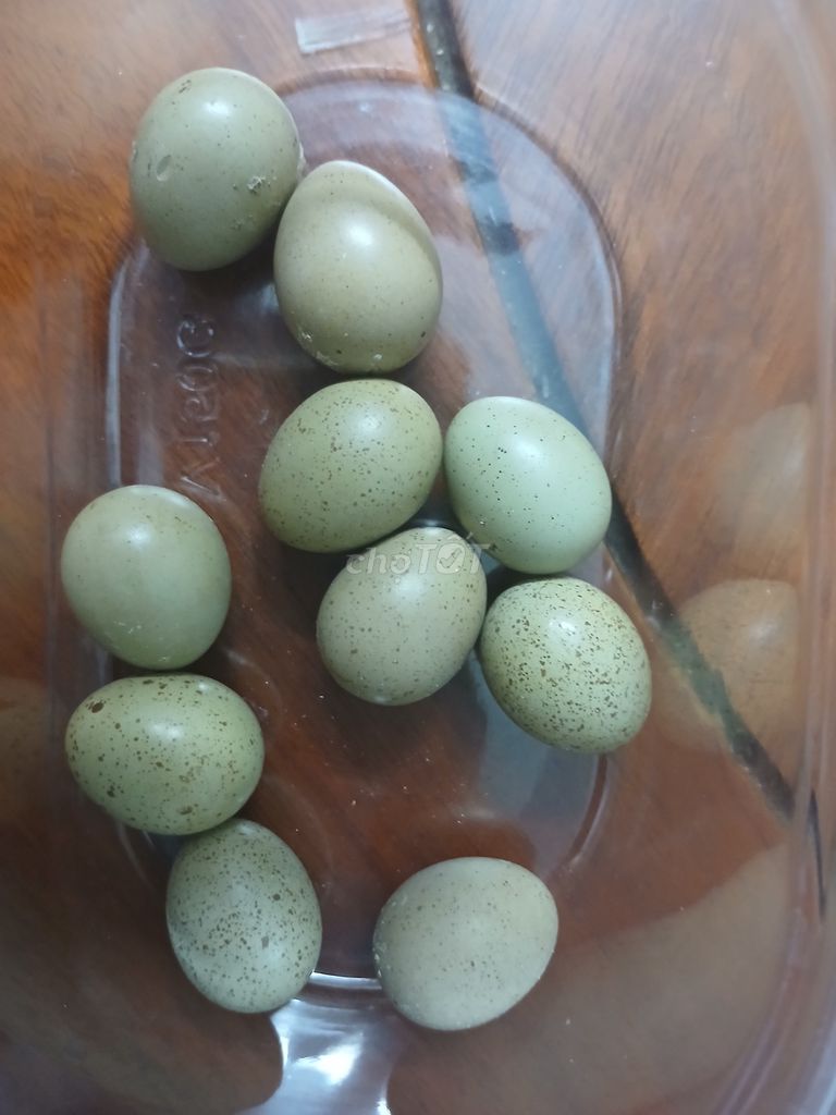 Trứng gà Rutin Xanh nhạt Tươi. Mua bán Đồ ăn, thực phẩm và các loại khác tại Thành phố Thủ Dầu Một Bình Dương được đăng bởi Lý Nguyễn Thị hình 1