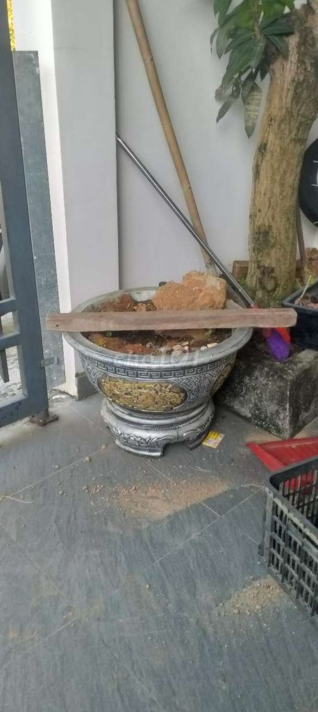 Chậu cây cảnh Gốm sứ 60-55cm. Mua bán Cây cảnh, đồ trang trí tại Huyện Hòa Vang Đà Nẵng được đăng bởi Nguyễn quang thời hình 1