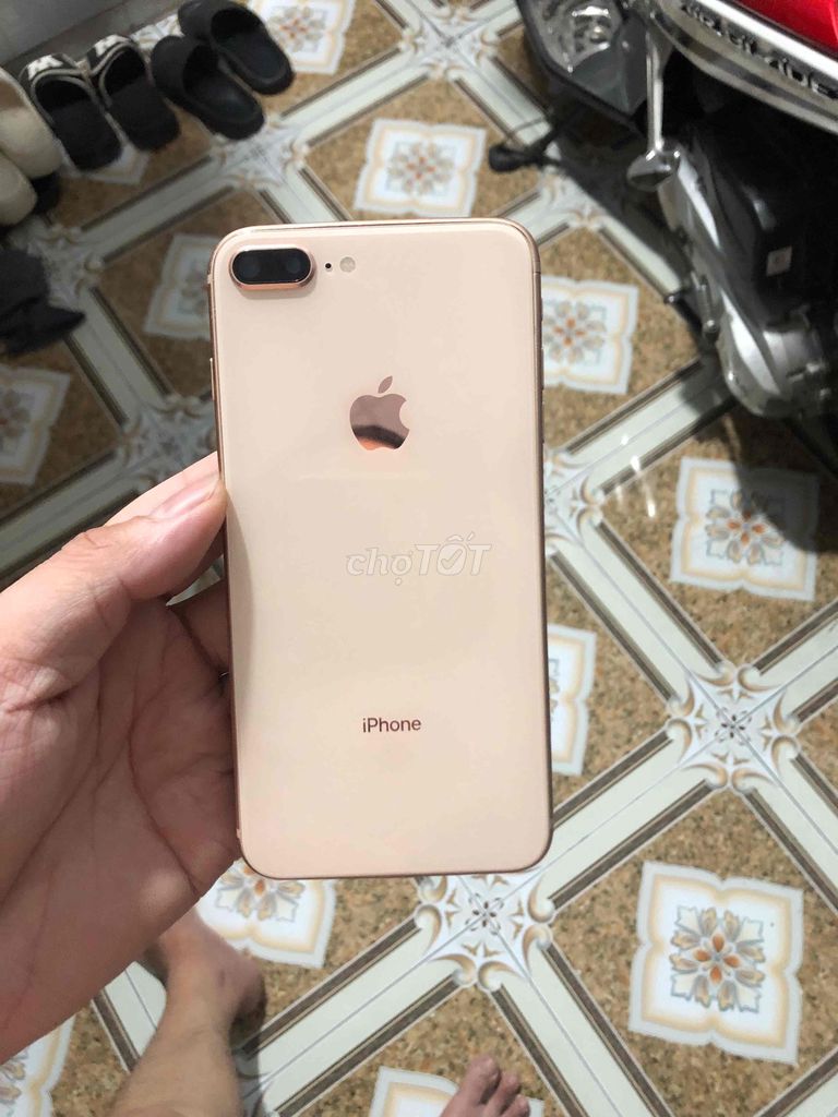 iPhone 8 Plus 64 Vàng đồng Đã qua sử dụng. Mua bán Điện thoại tại Thành phố Thủ Đức Tp Hồ Chí Minh được đăng bởi hoà hình 1
