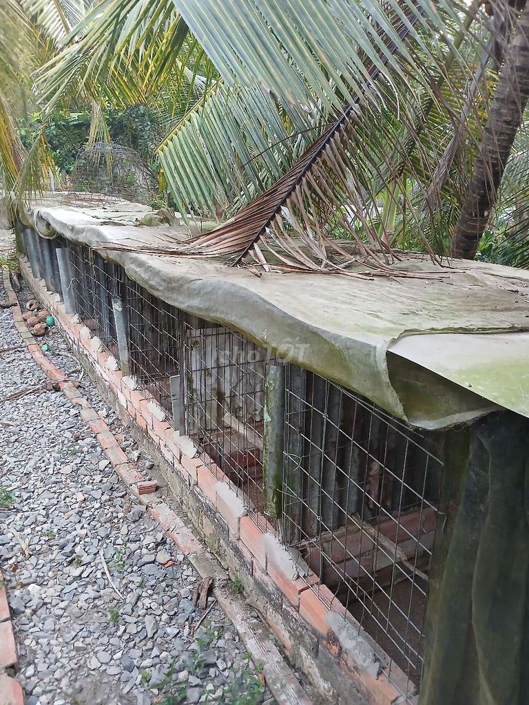 Chuồng gà 8x8. Mua bán Phụ kiện, Thức ăn, Dịch vụ tại Huyện Long Hồ Vĩnh Long được đăng bởi Lặt hình 1