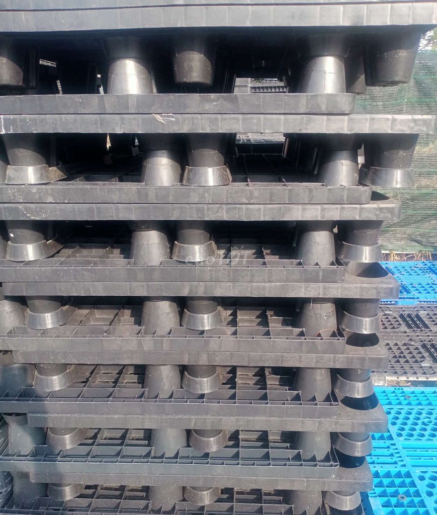 PALLET NHỰA GIÁ SINH VIÊN