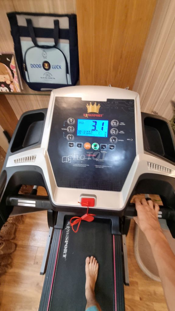 Máy chạy bộ Kingsport Kungfu kèm massage giảm mỡ