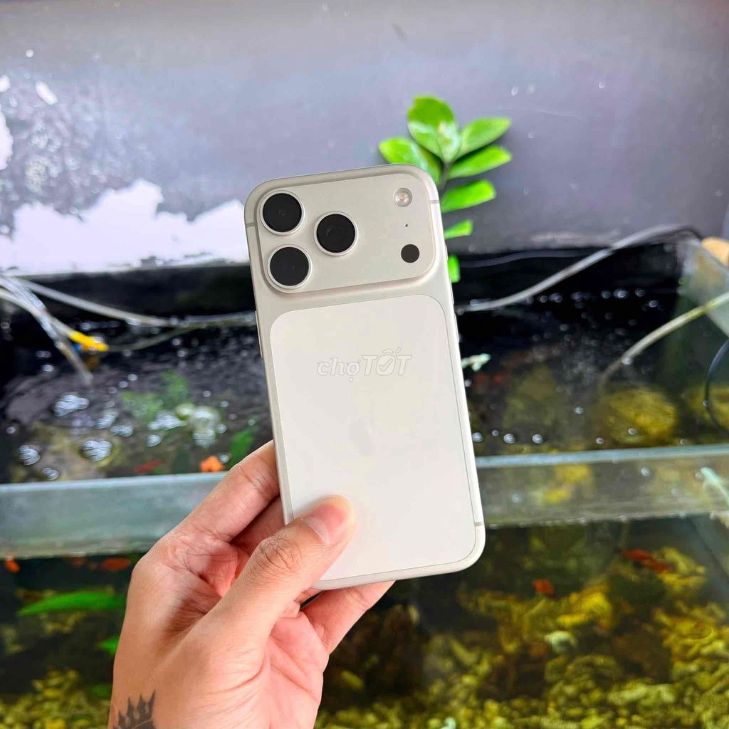 Apple iPhone 17 Pro Trắng. Mua bán Điện thoại tại Quận Gò Vấp Tp Hồ Chí Minh được đăng bởi Mạnh Hải Mobile hình 1
