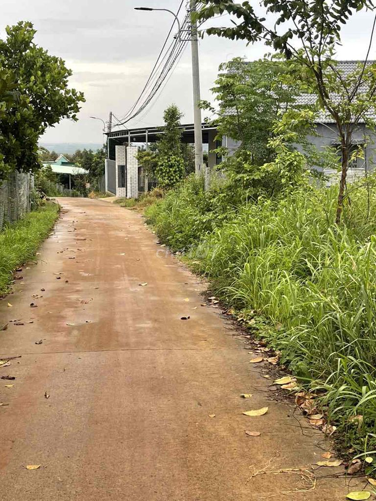 ĐẤT FULL THỔ CƯ
