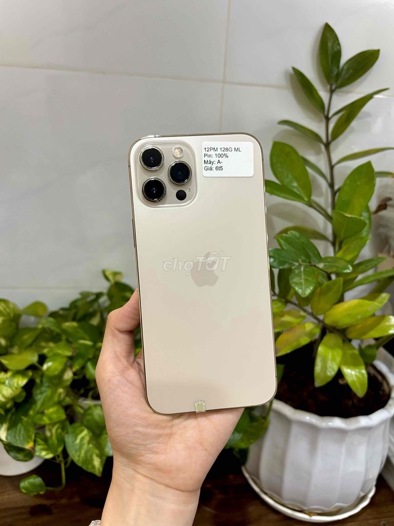 iPhone 12 ProMax 128GB Vàng Màn lô LLA. Mua bán Điện thoại tại Huyện Hóc Môn Tp Hồ Chí Minh được đăng bởi SIRI STORE HCM hình 1