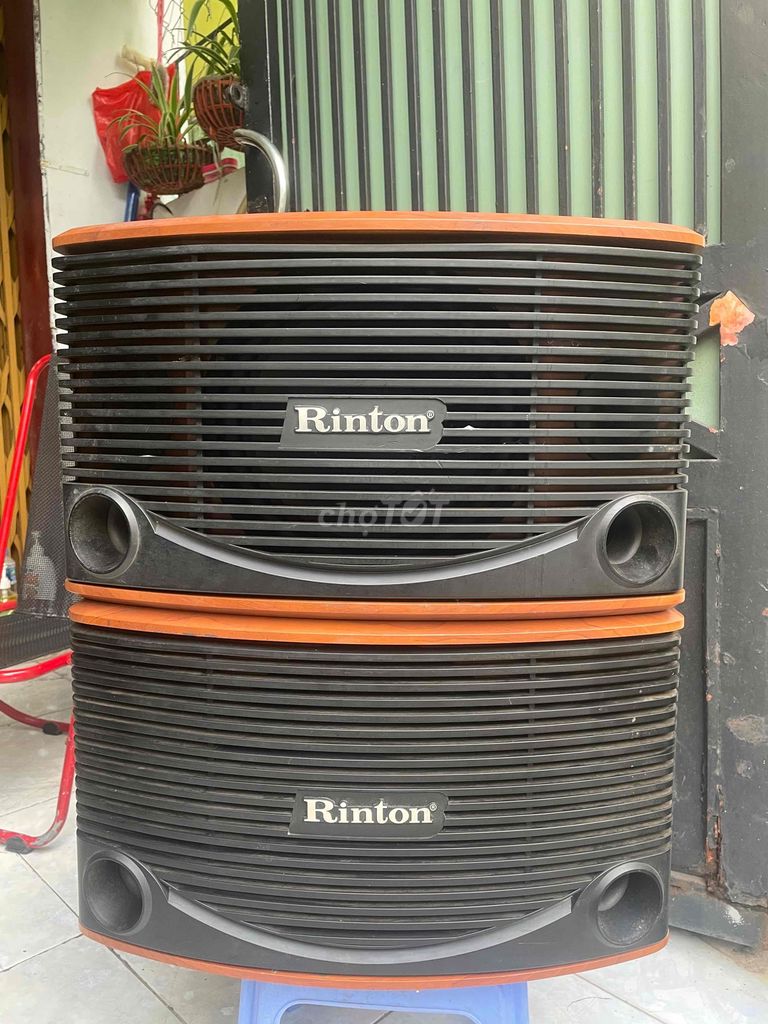 loa RINTON RT-809 Bas 25 rin đẹp