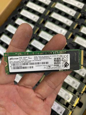 ổ cứng ssd M2 nvme 256g Micron hàng new - xách tay. Mua bán Linh kiện (RAM, Card...) tại Quận Tân Phú Tp Hồ Chí Minh được đăng bởi Shop May tinh vs linh kien