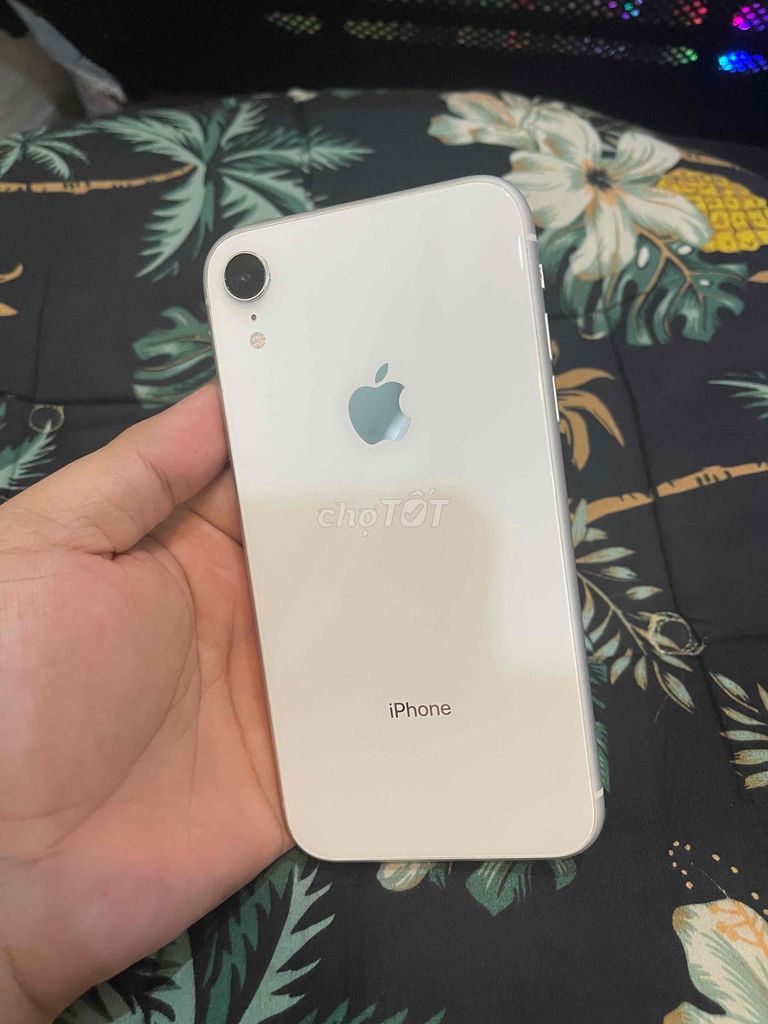 iPhone XR 128G Quốc Tế Zin Áp Đang Xài Ngon Pin 93. Mua bán Điện thoại tại Quận Phú Nhuận Tp Hồ Chí Minh được đăng bởi Minh hình 1