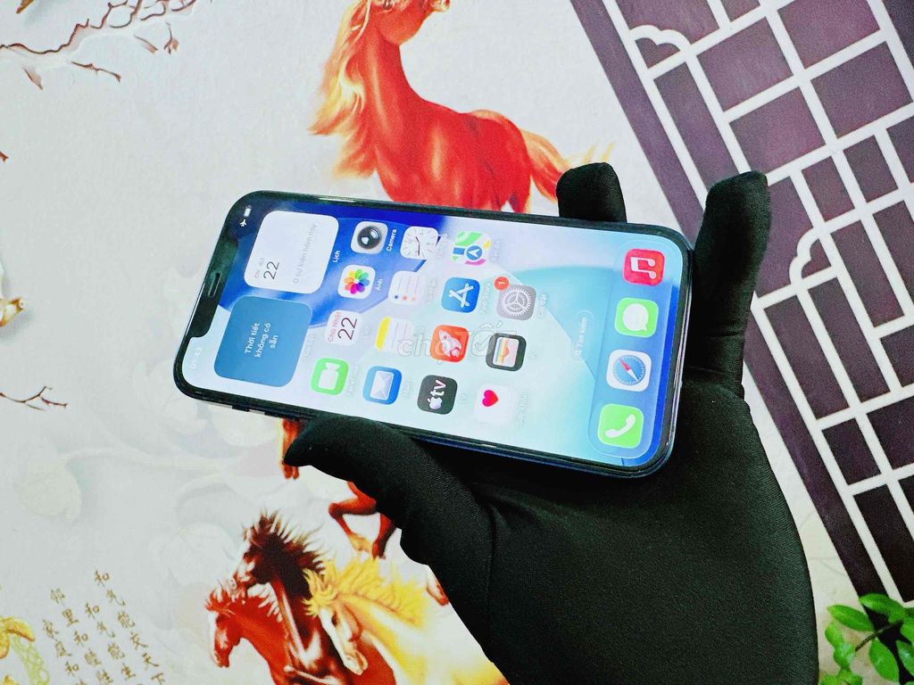 iPhone 12 64GB Xanh Việt Nam likenew pin 100%. Mua bán Điện thoại tại Quận Hải Châu Đà Nẵng được đăng bởi Hoàng Anh Tuấn hình 1