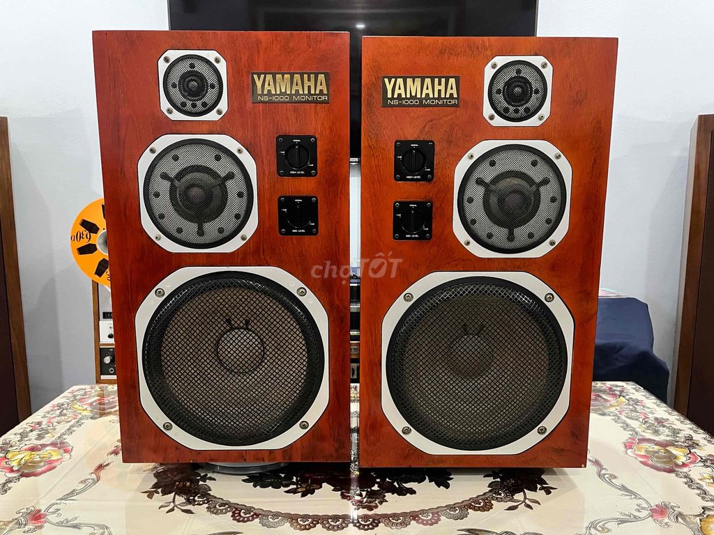 LOA YAMAHA NS-1000m