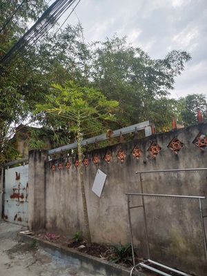 Bán gấp lô đất đường Long Thuận vào Bảo Tàng Áo Dài. Mua bán đất tại Thành phố Thủ Đức Tp Hồ Chí Minh được đăng bởi Hoahung