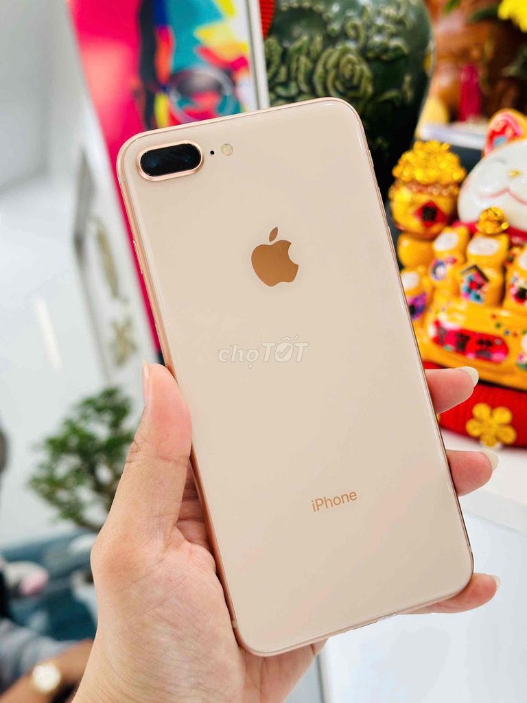 Apple iPhone 8 Plus 64GB Vàng Đã sử dụng. Mua bán Điện thoại tại Thành phố Mỹ Tho Tiền Giang được đăng bởi Hoàng Thành Apple hình 1