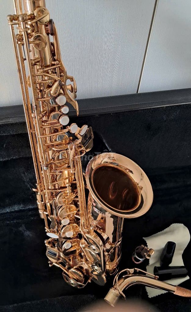 Pass cây KÈN Saxo Alto giá bèo bèo