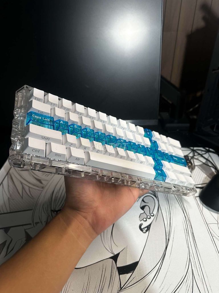 Bàn phím cơ Win60 Holy custom Trắng, Xanh. Mua bán Phụ kiện (Màn hình, Chuột...) tại Thành phố Vũng Tàu Bà Rịa - Vũng Tàu được đăng bởi Ggggggg hình 1