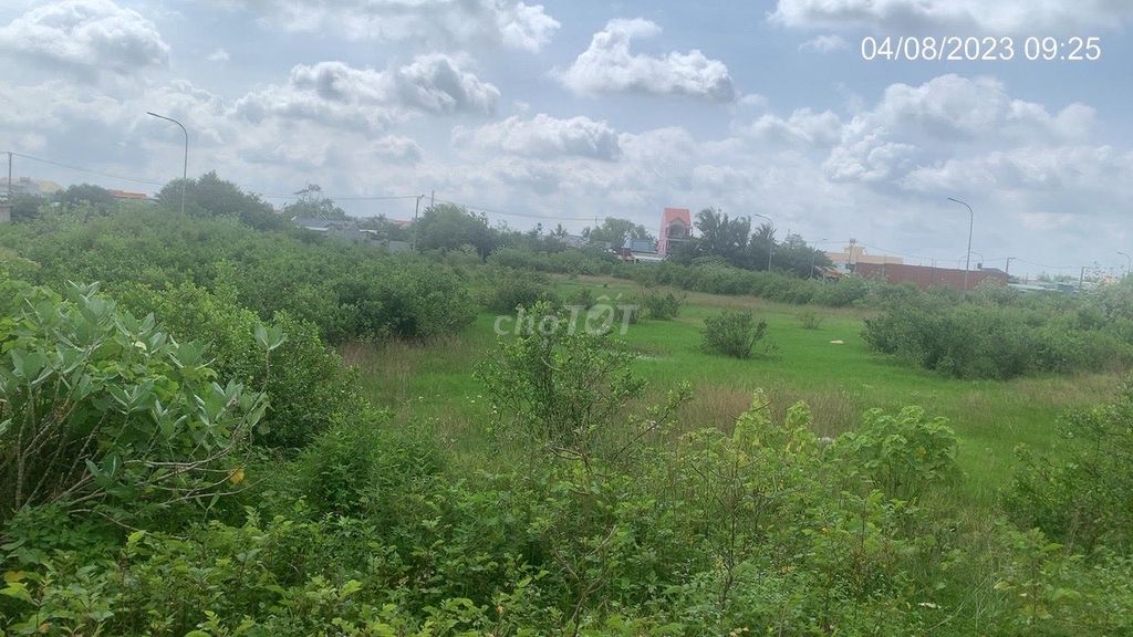 Cần bán gấp lô 2600 m2 đất thổ cư tại Nhơn Trạch - Đồng Nai