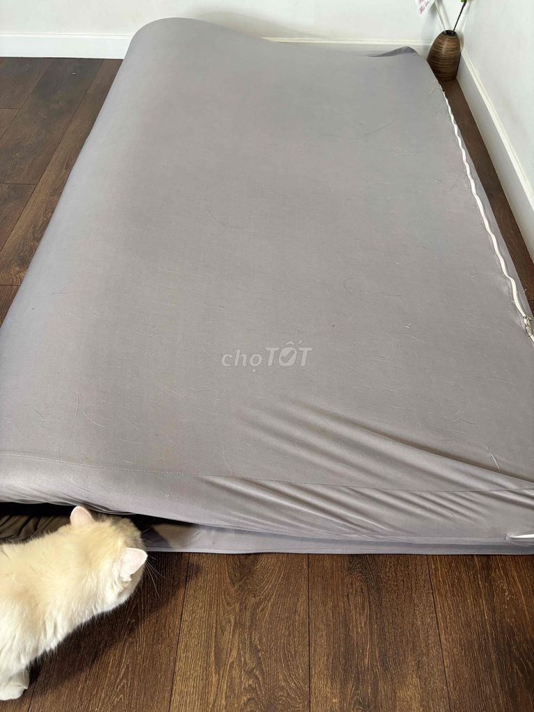 Nệm Cao su non Đông Á 1m6x2mx10cm. Mua bán Giường, chăn ga gối nệm tại Thành phố Dĩ An Bình Dương được đăng bởi Tran T hình 1