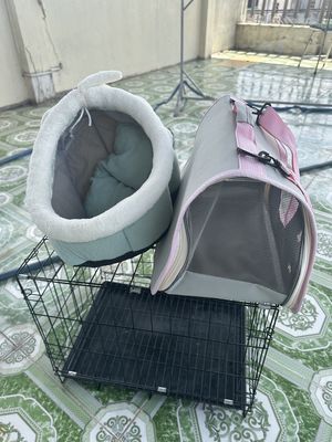 Chó Phốc Sóc trắng 4 tháng tuổi