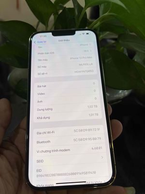 iPhone 13 prm 1024G vàng Đẹp 99./. mới. Mua bán Điện thoại tại Thành phố Biên Hòa Đồng Nai được đăng bởi thanh