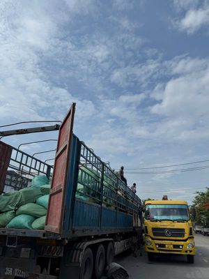 Xe tải ghép hàng Bắc Nam | Nhận hàng nhanh. Dịch vụ tại Quận 12 Tp Hồ Chí Minh được đăng bởi Trần Văn Tâm