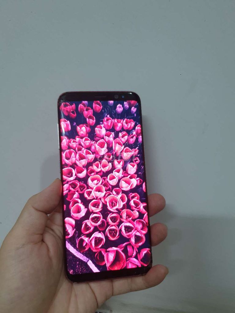 Samsung S8 4gb/64gb chơi game cũng ok. Mua bán Điện thoại tại Quận Tân Phú Tp Hồ Chí Minh được đăng bởi Điện thoại SAMPHONE hình 1
