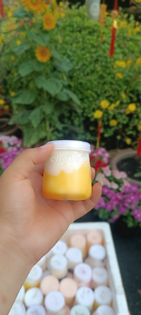 Sữa chua trái cây tự nhiên nhà làm Shop Huỳnh Shin