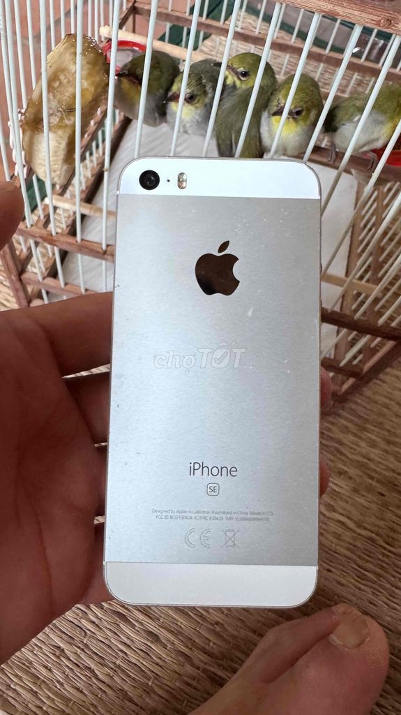 Apple iPhone SE 32GB trắng Đã qua sử dụng. Mua bán Điện thoại tại Huyện Thạch Thất Hà Nội được đăng bởi Nguyễn Thắng hình 1