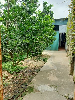 Townhouse 82 m² · 2 bed · Đường Đức Diễn