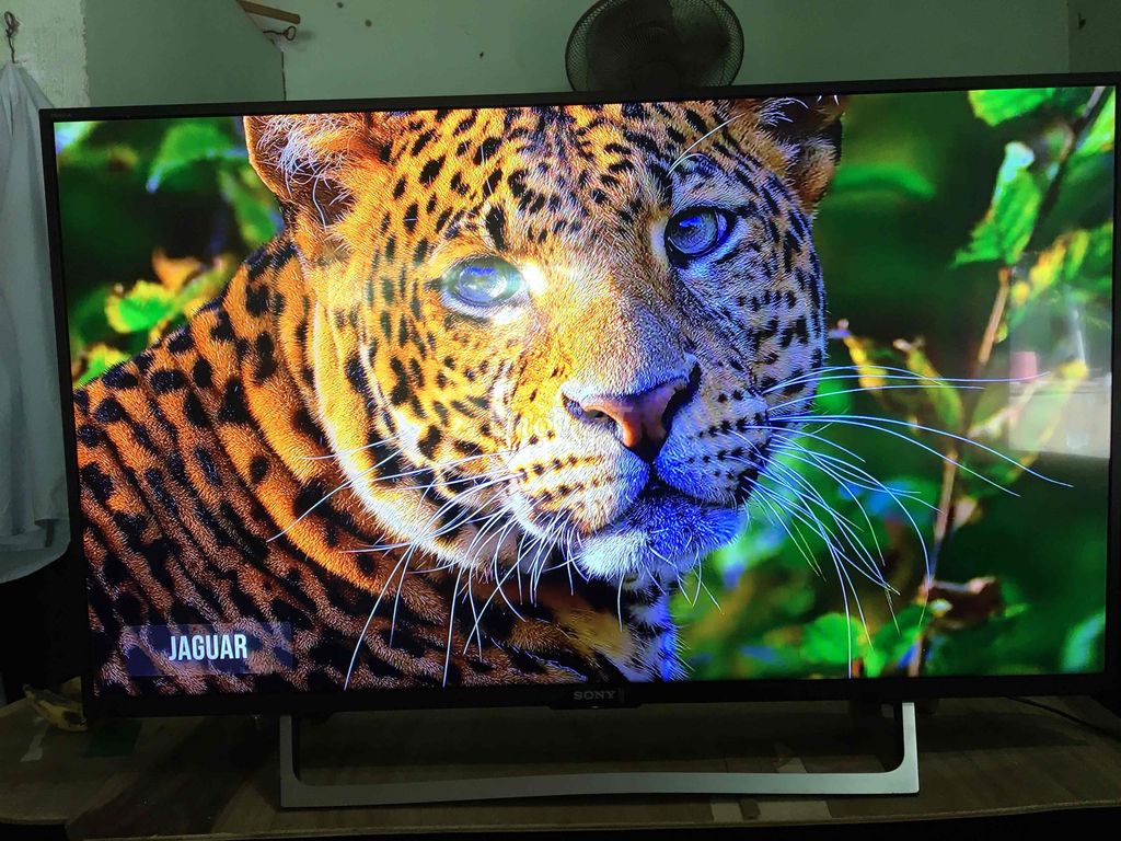 Tivi Sony 43 inch  có internet wifi. Mua bán Tivi, Âm thanh tại Thành phố Bến Tre Bến Tre được đăng bởi Khang hình 1