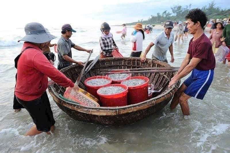 nước mắm loại đặc biệt. Mua bán Đồ ăn, thực phẩm và các loại khác tại Quận Tân Phú Tp Hồ Chí Minh được đăng bởi Lê hình 1