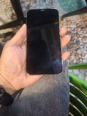 IPhone 12 Promax 256GB gold quốc tế