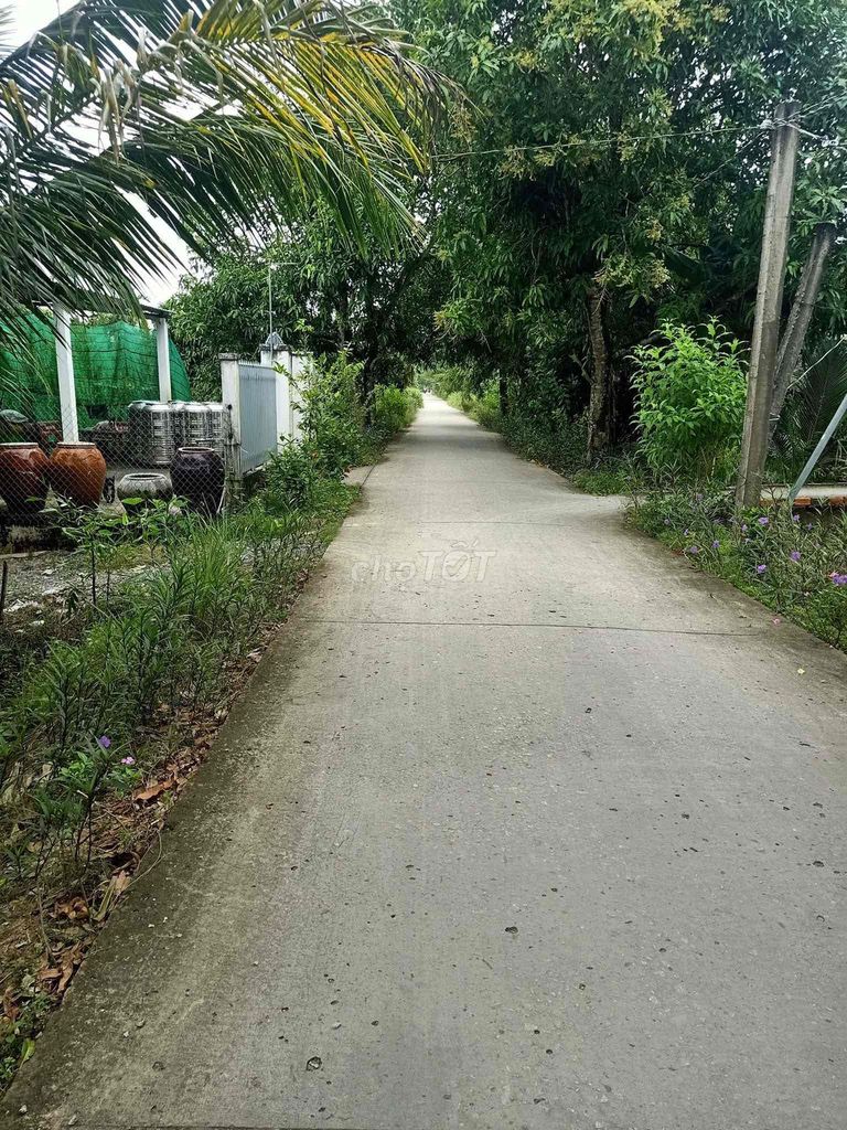 ❤️‍🔥 Đất nền nghỉ dưỡng hơn 500m2 - Lộ oto vô tới đất - cách lộ lớn Nam S