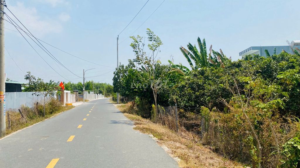 2 lô đẹp giá chỉ 999 triệu/lô Ngang 6m x 21m thổ cư 80m Cách biển 3km. Mua bán Đất tại Huyện Đất Đỏ Bà Rịa - Vũng Tàu được đăng bởi Minh Tuyết  hình 4