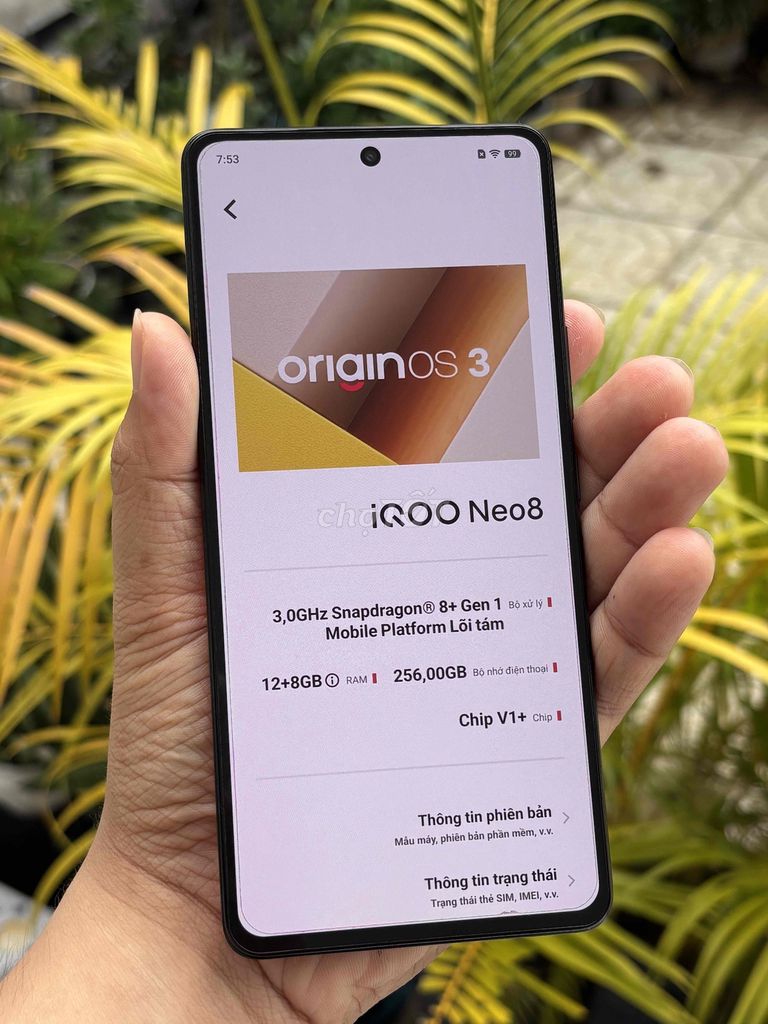IQOO Neo8 12GB/256GB pin 98%. Mua bán Điện thoại tại Huyện Tam Bình Vĩnh Long được đăng bởi Nguyễn Vĩ Khang hình 1