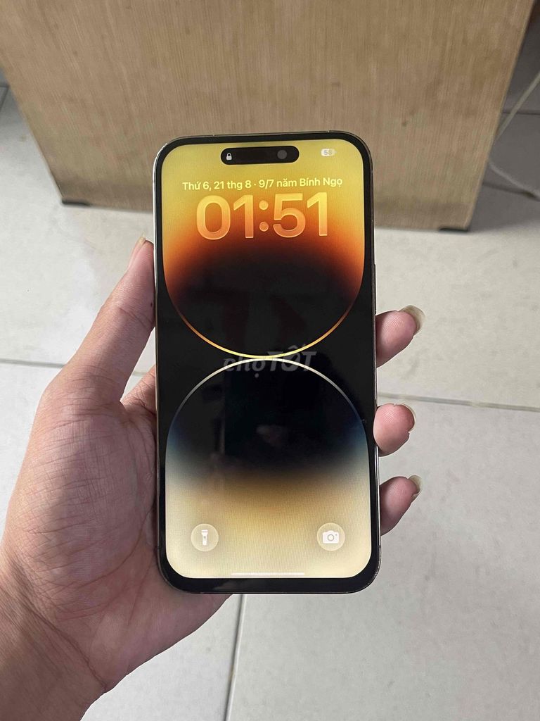Apple iPhone 14 Pro Max Vàng. Mua bán Điện thoại tại Thành phố Thủ Đức Tp Hồ Chí Minh được đăng bởi Trương Mạnh Kiên hình 1