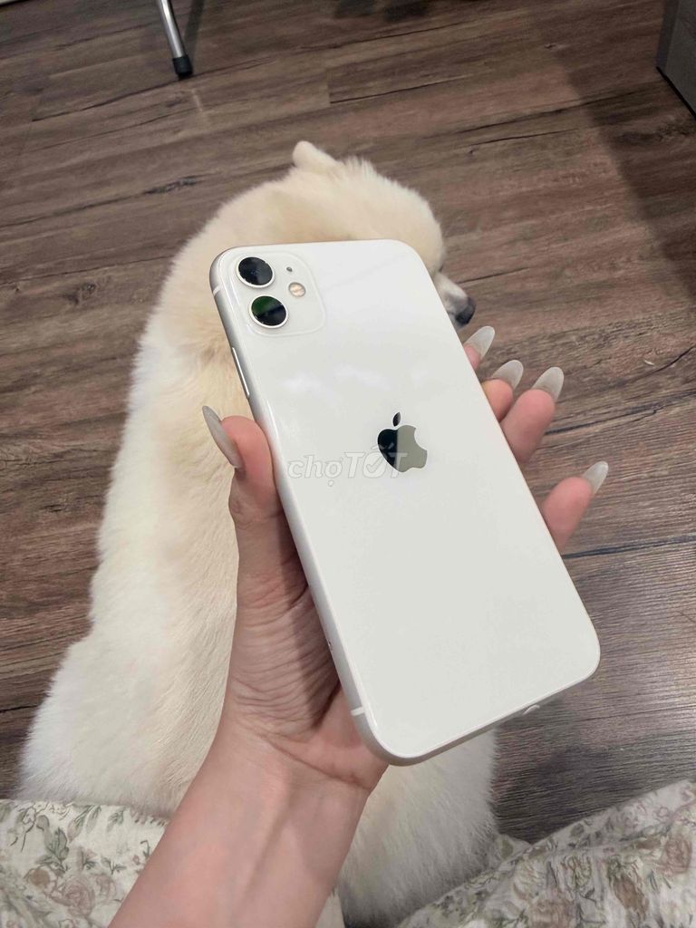 Apple iPhone 11 Trắng main zin màn zin. Mua bán Điện thoại tại Quận Thanh Khê Đà Nẵng được đăng bởi Na Na  hình 1