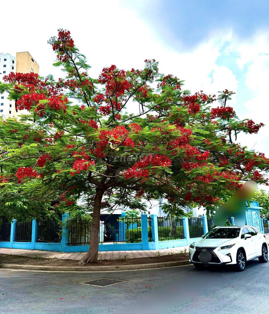 Lexus RX 2019 300 - 55700 km. Mua bán Ô tô tại Thành phố Thủ Đức Tp Hồ Chí Minh được đăng bởi Hoa Kim Anh hình 15