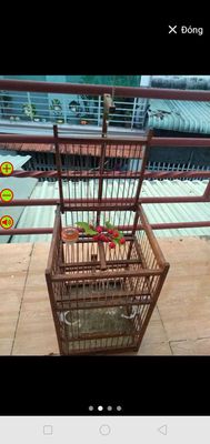 Lồng bẫy chim sảy. Mua bán Phụ kiện, Thức ăn, Dịch vụ tại Thị xã Tân Uyên Bình Dương được đăng bởi Lục Sư Huynh 