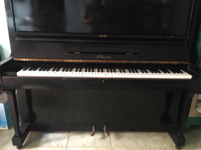 BÁN ĐÀN PIANO CƠ. Mua bán Nhạc cụ tại Thành phố Thủ Đức Tp Hồ Chí Minh được đăng bởi HẠNH