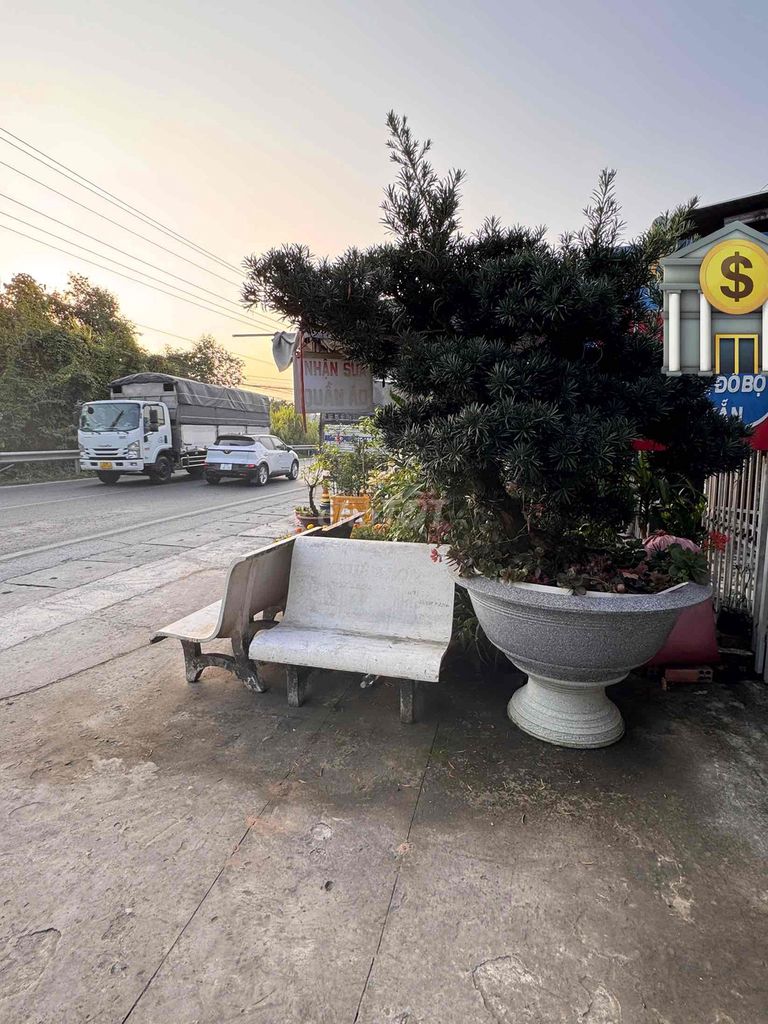 Cây cảnh Tùng la hán Tốt. Mua bán Cây cảnh, đồ trang trí tại Huyện Cao Lãnh Đồng Tháp được đăng bởi Cây Cảnh Đồng Tháp hình 1