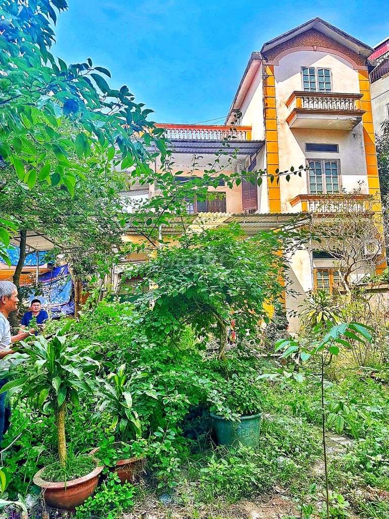 [CỰC HIẾM] Bán khu nhà đất 400m2 trung tâm P. Phan Đình Phùng 