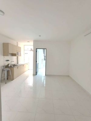 cho thuê căn hộ Sen Hồng, 4.8tr/1PN,1WC/38m2, có máy lạnh
