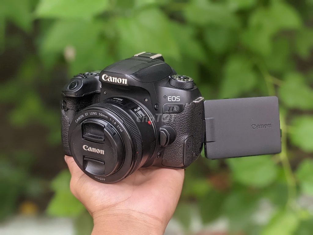 [Máy ảnh KTS] Canon 77D DSLR 50mm STM Đen. Mua bán Máy ảnh, Máy quay tại Quận 6 Tp Hồ Chí Minh được đăng bởi may anh KTS hình 1