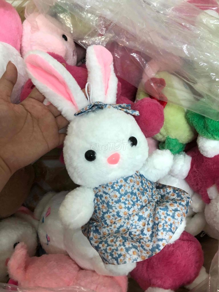 Gấu bông size 20-25cm new gấu gắp, lô 25 con 25k/c