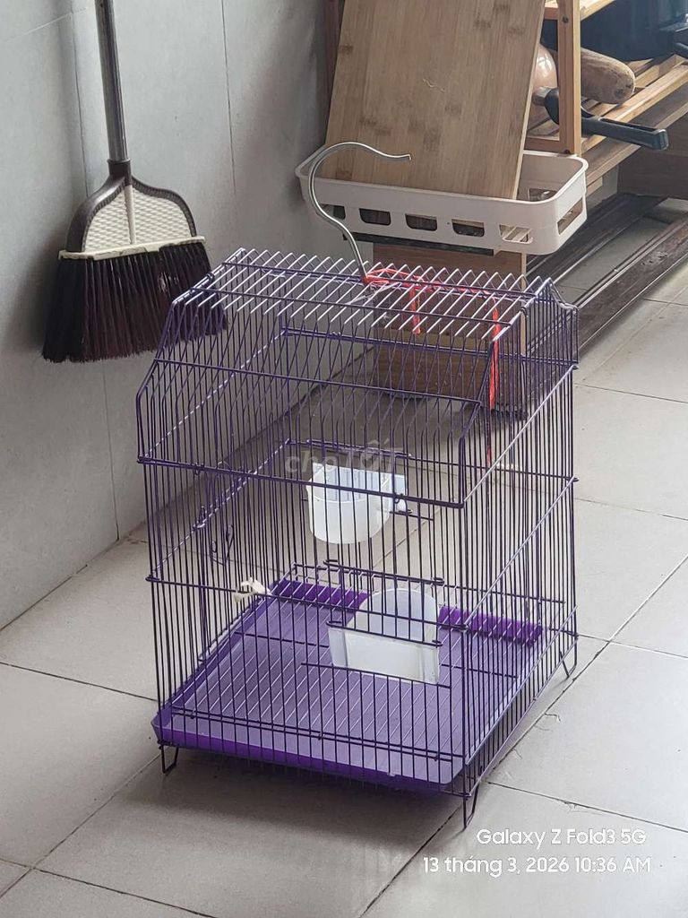 Lồng chim kim loại màu Tím. Mua bán Phụ kiện, Thức ăn, Dịch vụ tại Quận Đống Đa Hà Nội được đăng bởi Đức Tùng Nguyễn hình 1