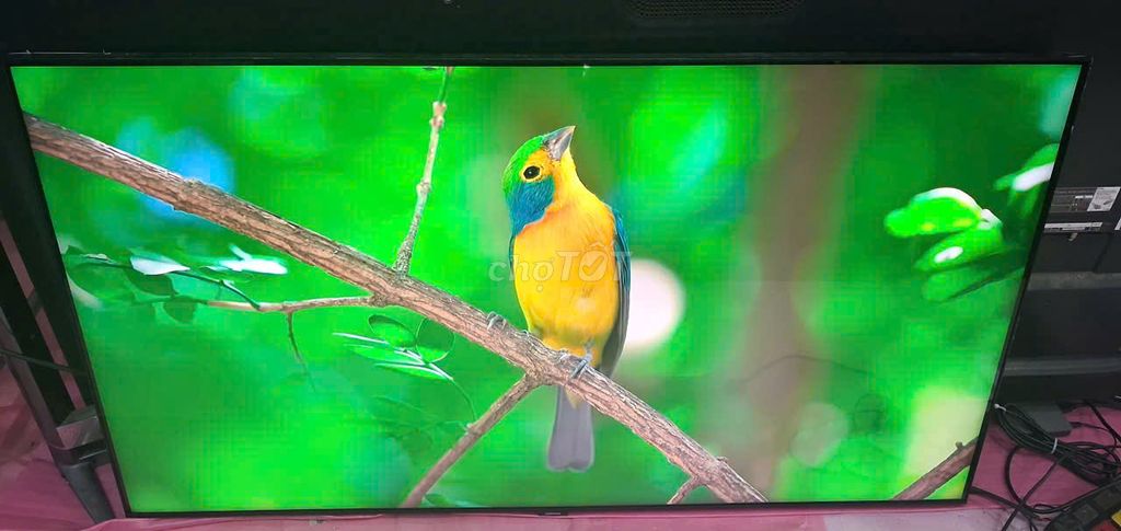 🎉🎉 Smart Tivi Samsung 55inch 4K 55Q60 Hàng 98% 🎉🎉. Mua bán Tivi, Âm thanh tại Quận Liên Chiểu Đà Nẵng được đăng bởi Nhật Tảo Center Đà Nẵng hình 1